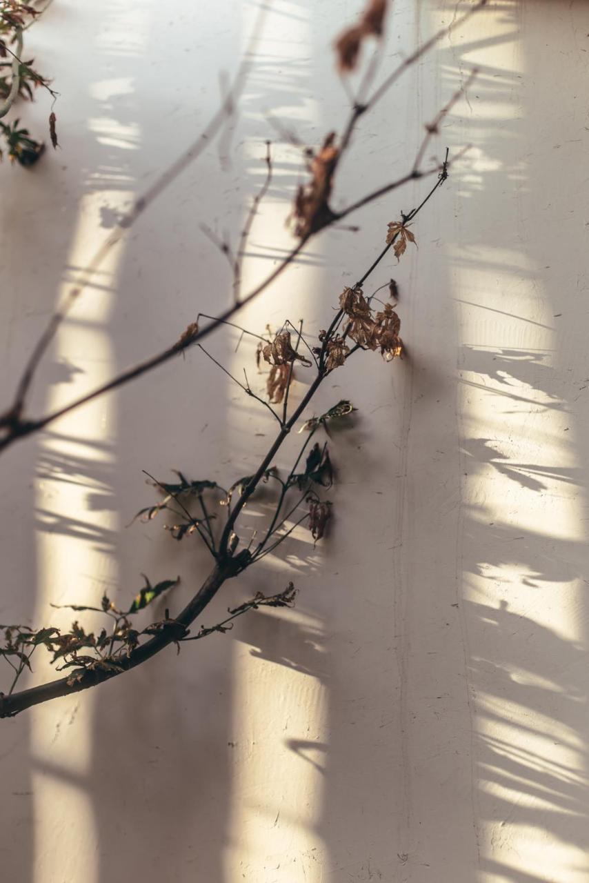 Zhangjiajie Song Boutique B & B - Zhangjiajie National Forest Park Wulingyuan ภายนอก รูปภาพ